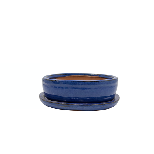 Bonsai-Topf blau oval 16 cm - Set