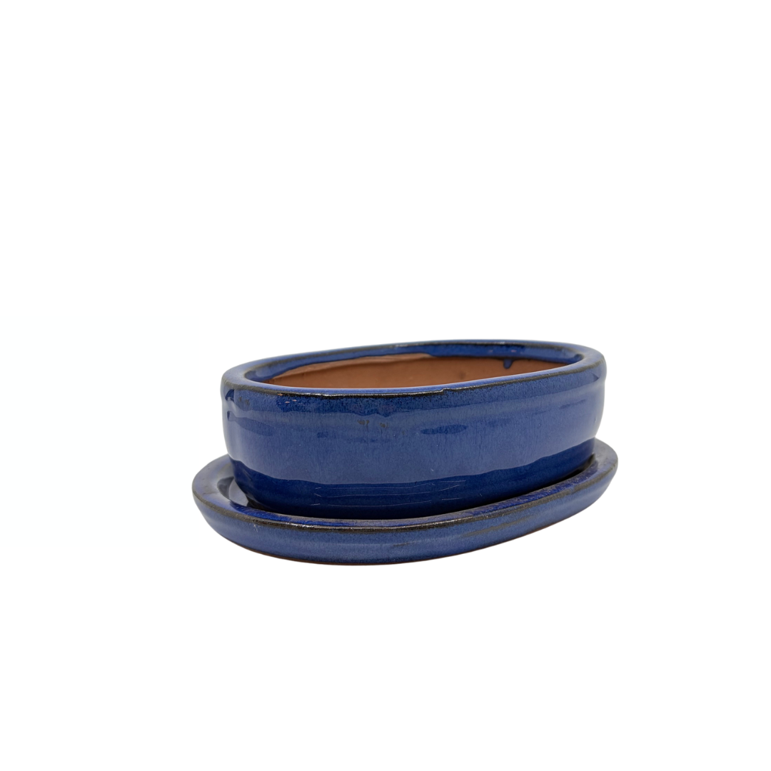 Bonsai-Topf blau oval 16 cm - Set