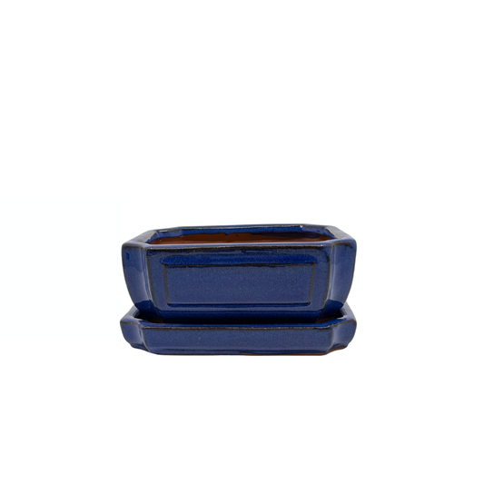 Bonsai-Topf blau rechteckig 15 cm - Set