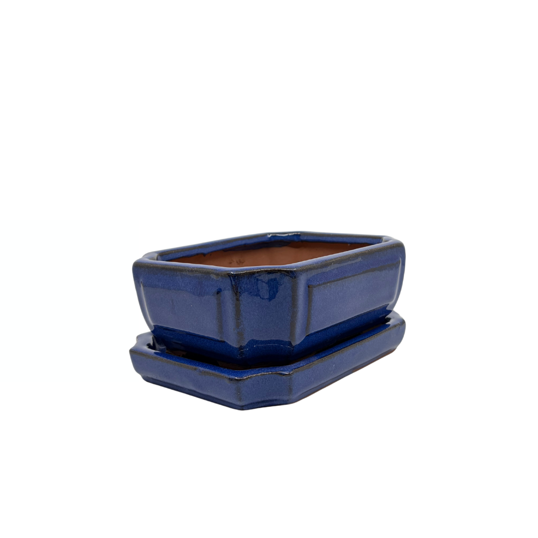 Bonsai-Topf blau rechteckig 15 cm - Set