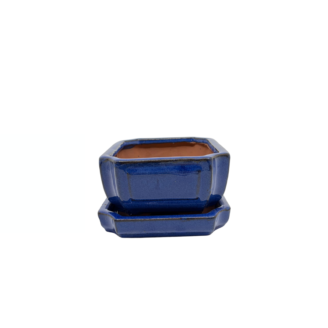 Bonsai-Topf blau rechteckig 15 cm - Set
