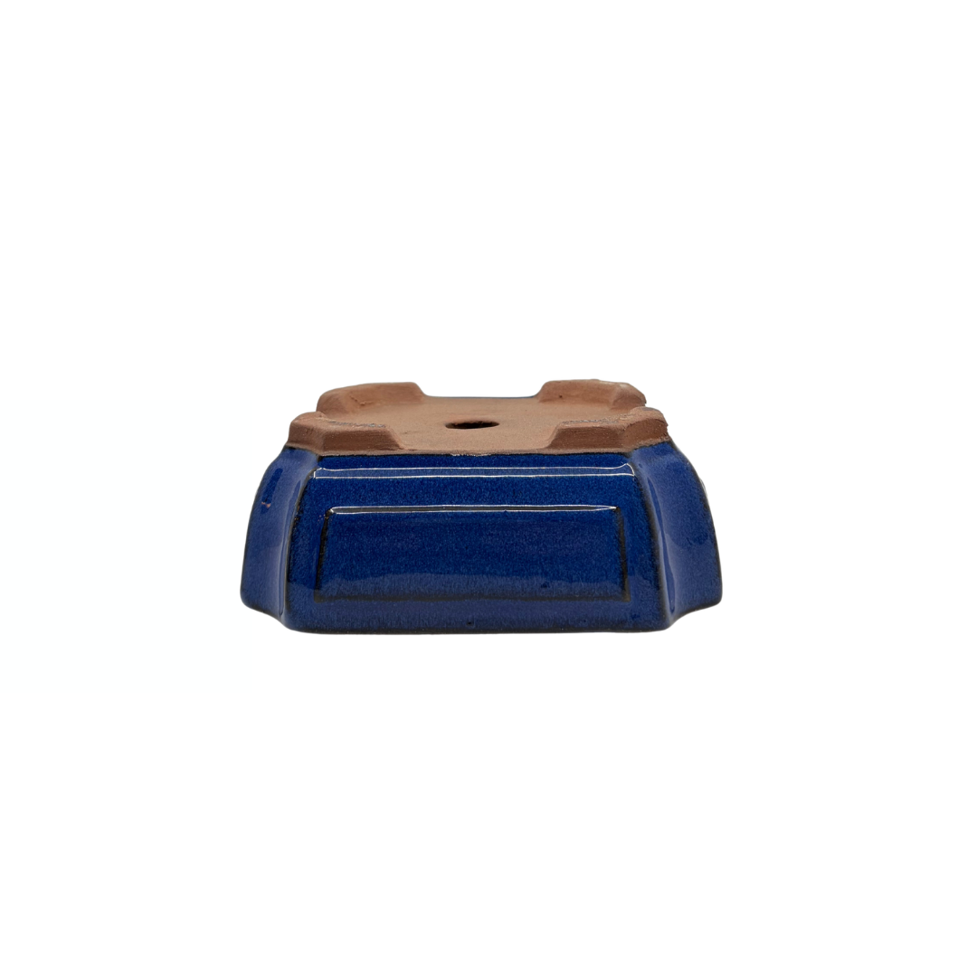 Bonsai-Topf blau rechteckig 15 cm - Set