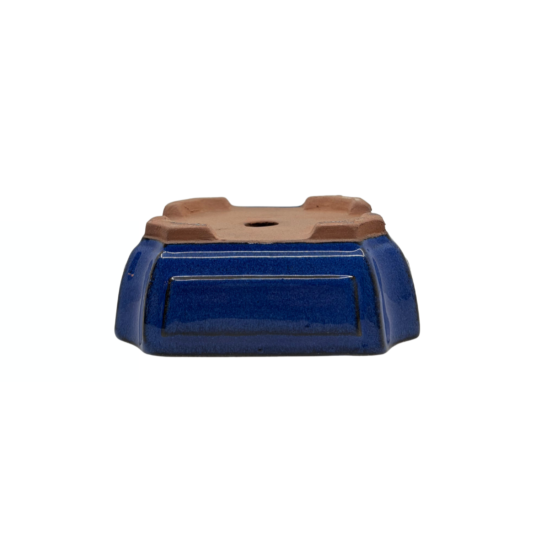 Bonsaischale blau rechteckig 20cm - Set