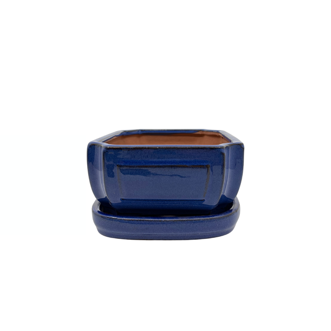 Bonsaischale blau rechteckig 20cm - Set
