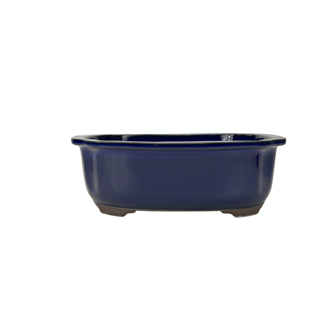 Bonsai pot blauw 24 cm