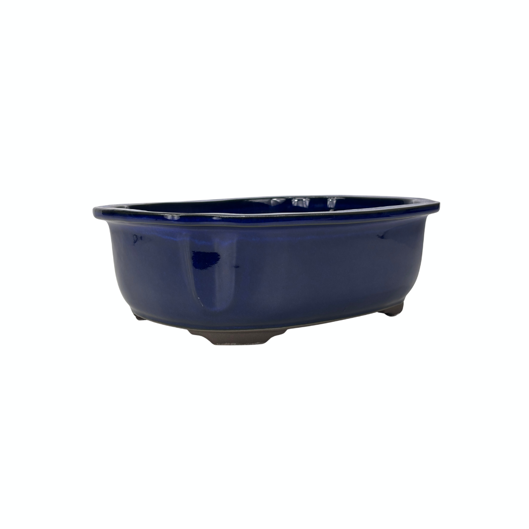 Bonsai-Schale blauer Mokko 25 cm