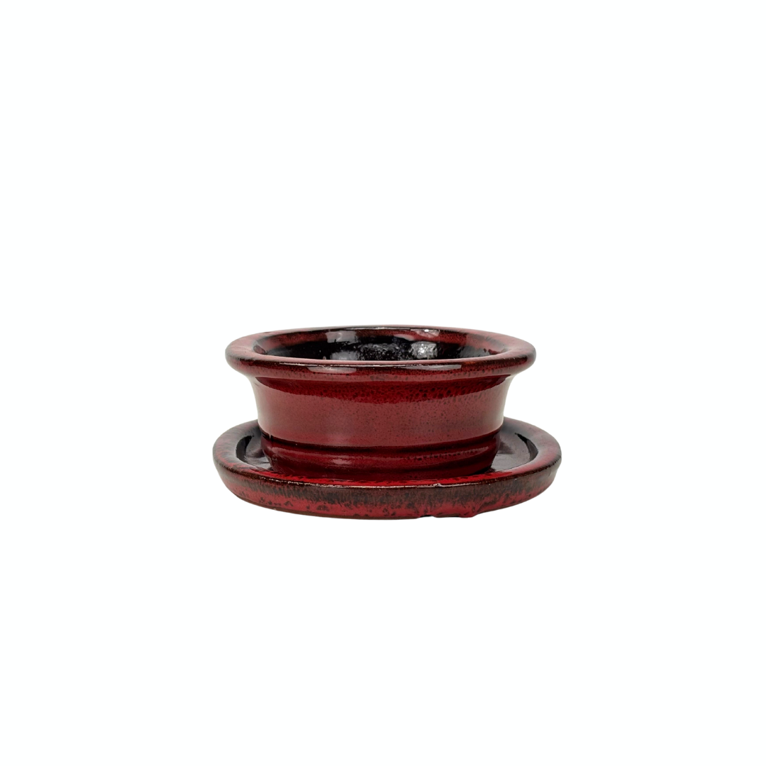 Bonsai-Topf rot oval 16 cm - Set