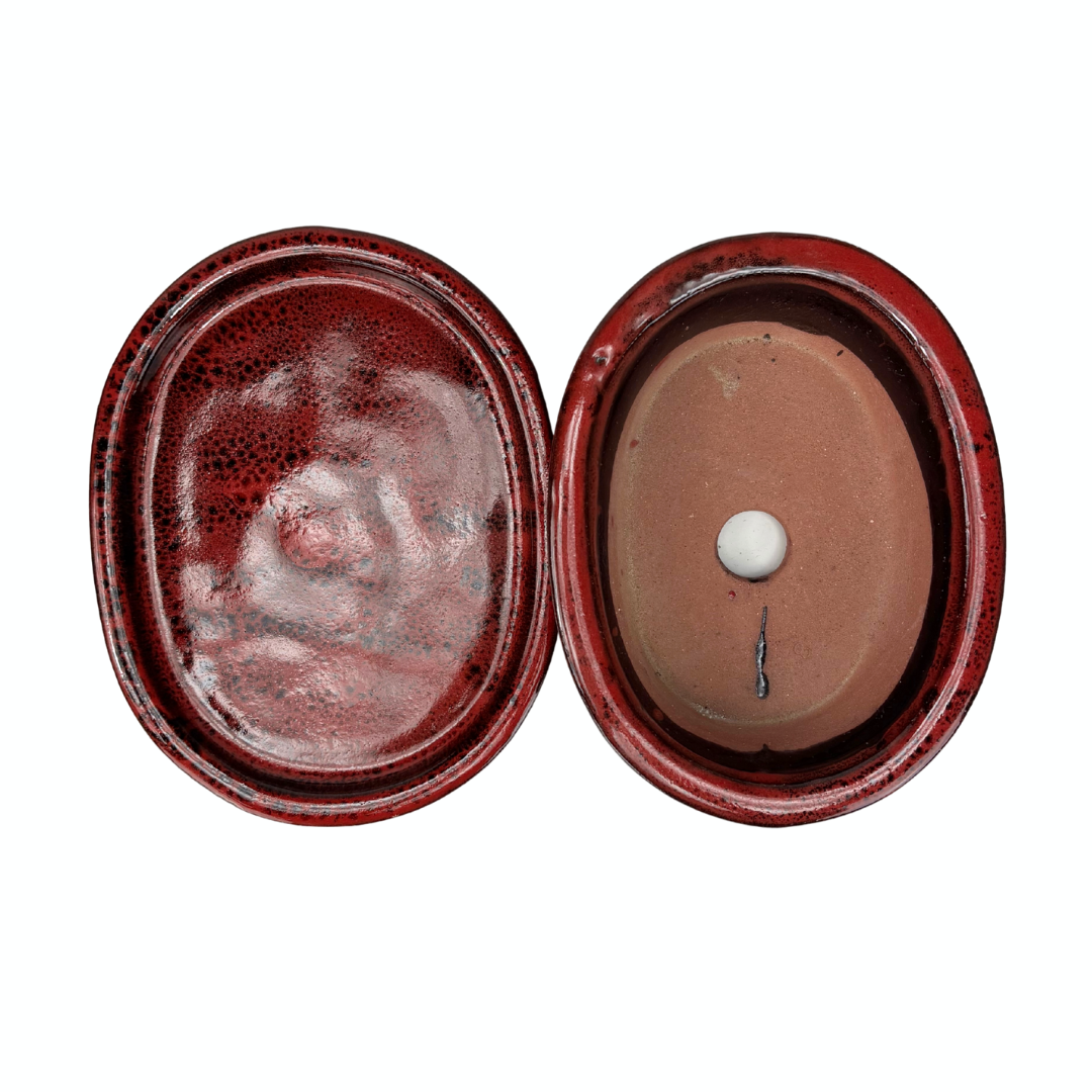 Bonsai-Topf rot oval 16 cm - Set