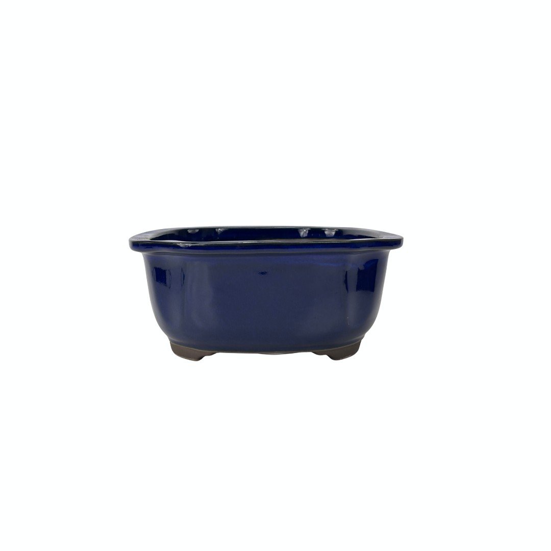 Bonsai-Schale blauer Mokko 25 cm