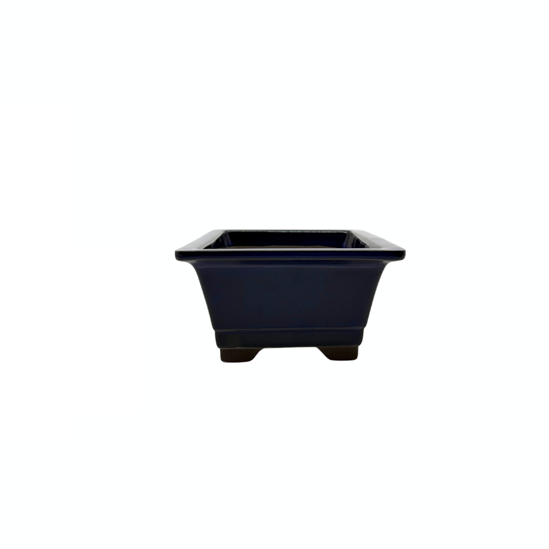 Bonsai-Topf-Set – rechteckig, glasiert, blau (14 cm breit)