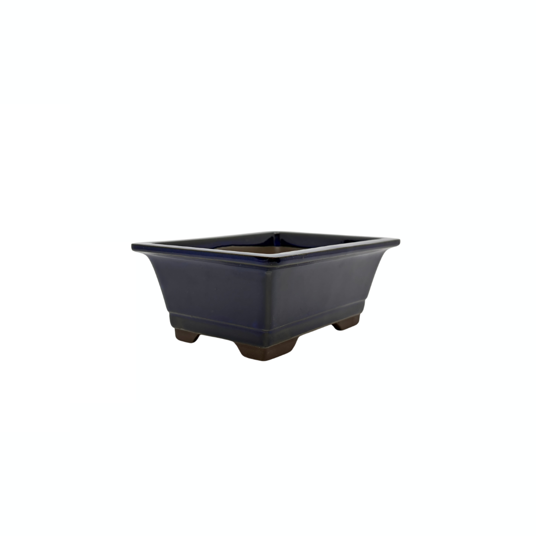 Bonsai-Topf-Set – rechteckig, glasiert, blau (14 cm breit) – Bonsai Shop