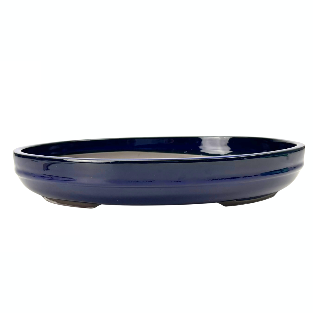 Bonsai-Topf - oval, glasiert, blau (47 cm breit)