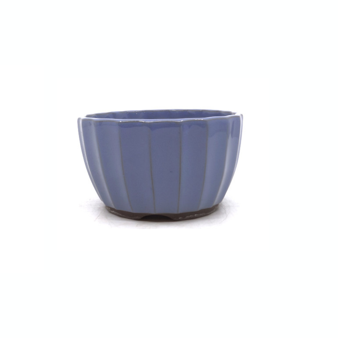 Bonsai-Schale hellblau Chrysanthemen 15cm