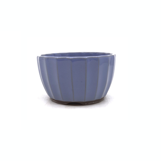 Bonsai-Schale hellblau Chrysanthemen 15cm
