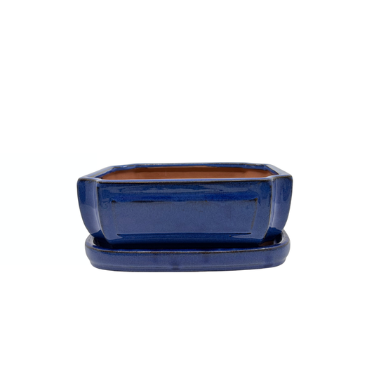 Bonsaischale blau rechteckig 20cm - Set