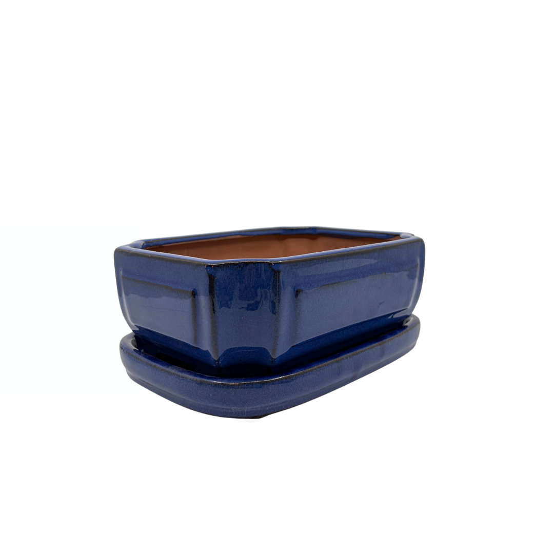 Bonsaischale blau rechteckig 20cm - Set