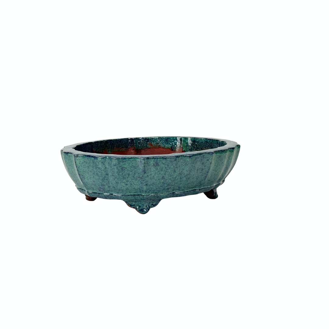 Bonsai-Schale, blaugrüne Chrysantheme, 17 cm