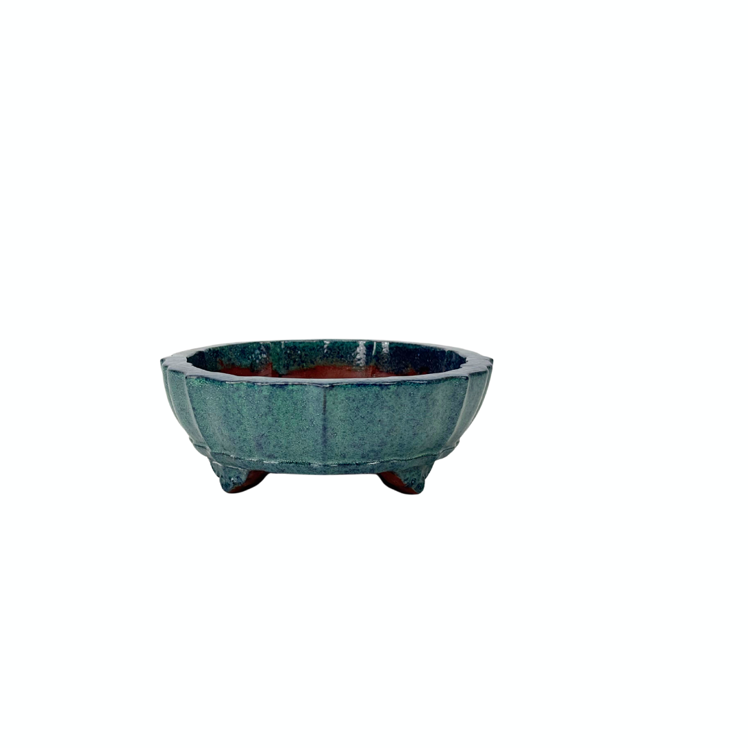 Bonsai-Schale, blaugrüne Chrysantheme, 17 cm