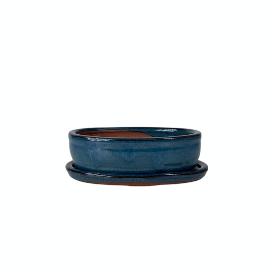 Bonsai-Topf blau oval 16 cm - Set