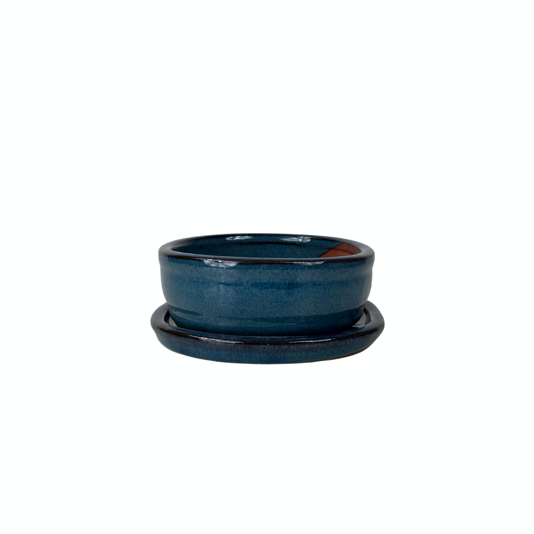 Bonsai-Topf blau oval 16 cm - Set