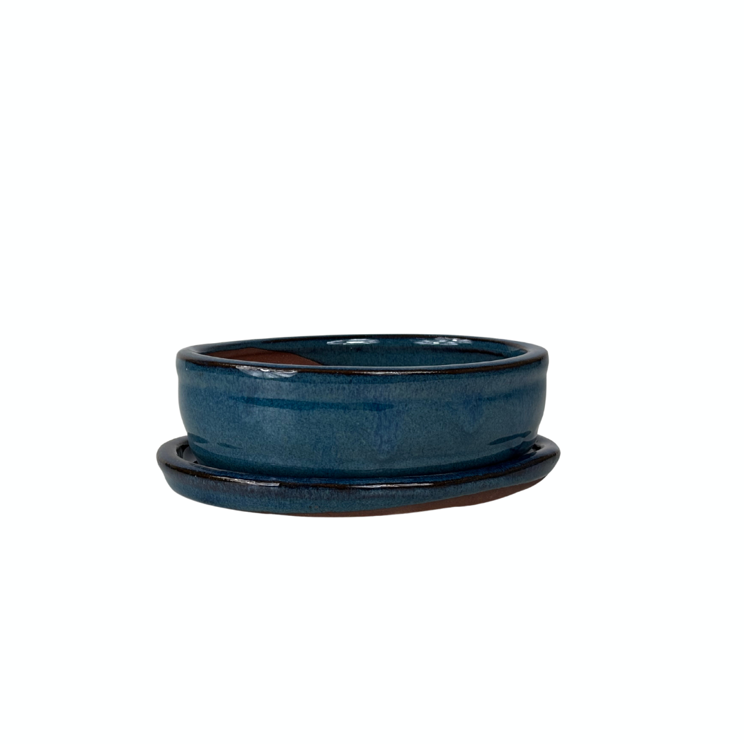 Bonsai-Schale blau oval 16 cm - Set