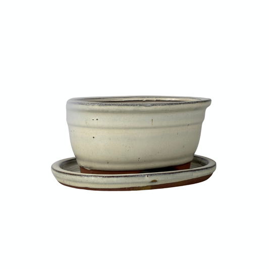 Bonsai-Topf, cremefarben, oval, 16 cm - Set