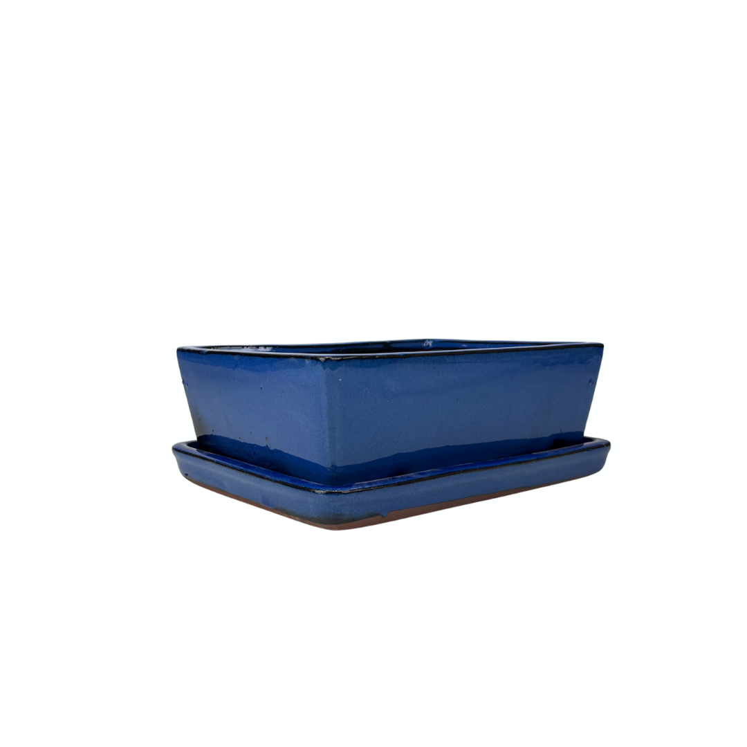 Bonsai-Schale blau rechteckig 15 cm - Set