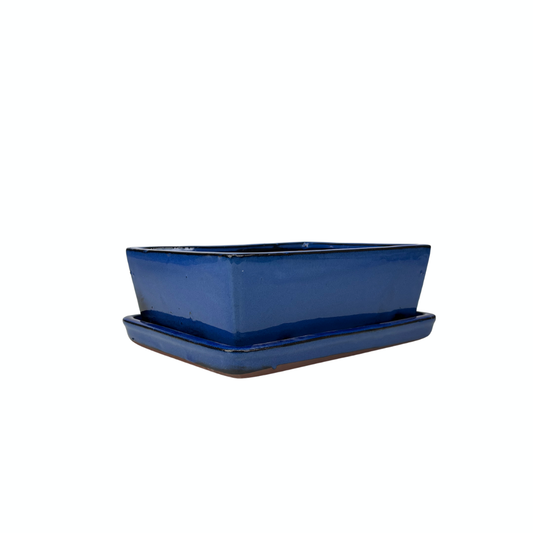 Bonsai-Schale blau rechteckig 15 cm - Set