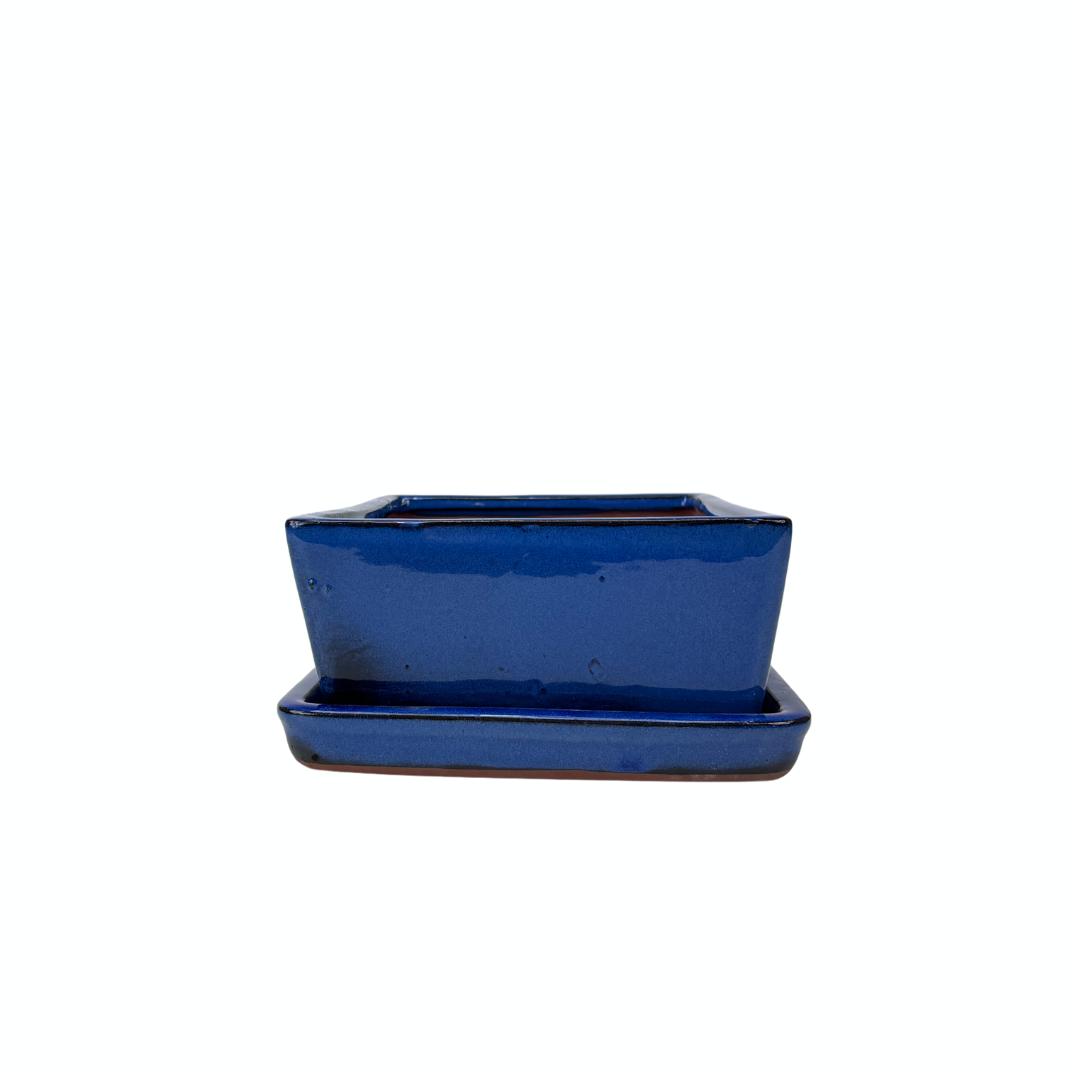 Bonsai-Schale blau rechteckig 15 cm - Set