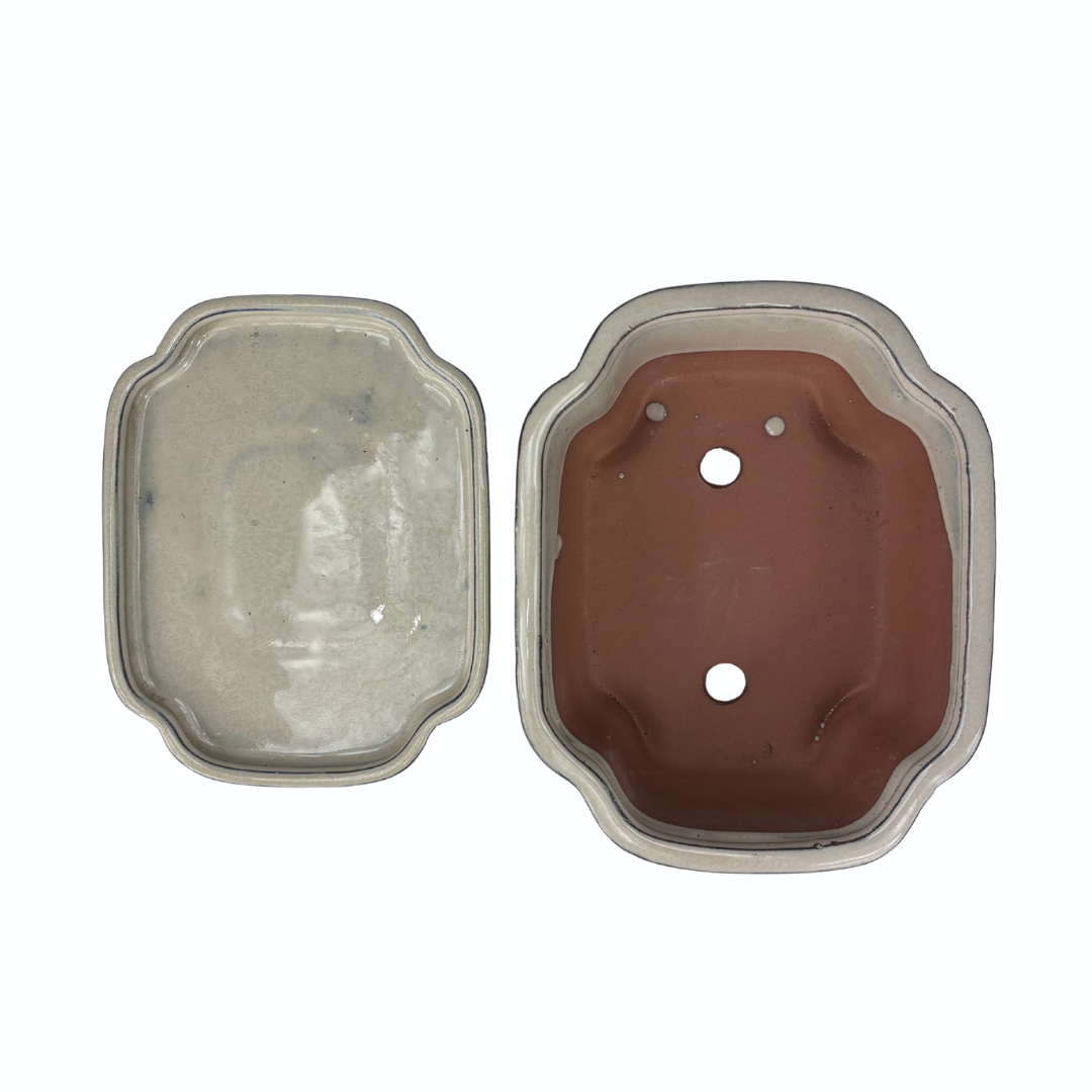 Bonsai-Schale Creme Mokko 22 cm - Set