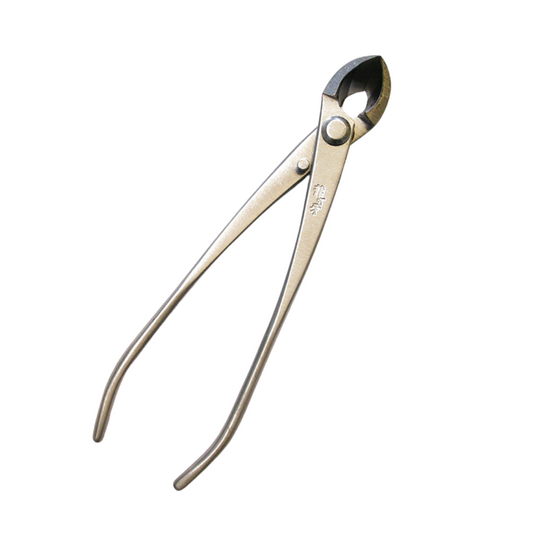 Bonsai Ryuga Konkavzange Edelstahl 170 mm