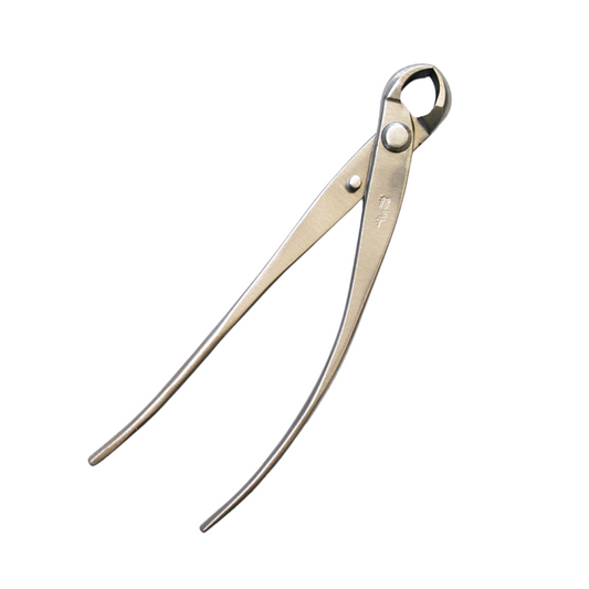 Bonsai Ryuga Knospenzange Edelstahl 179 mm