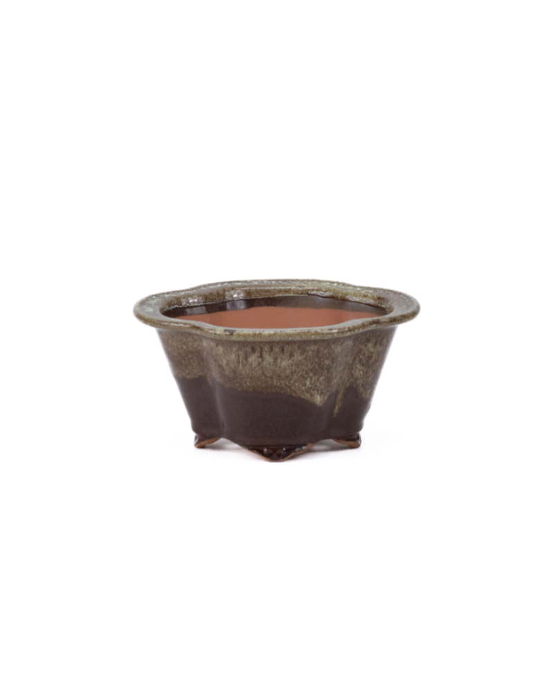 Bonsai-Schale Chrysanthemen braun beige 15,5 cm